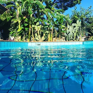 Oasi Del Gabbiano Bed & Breakfast